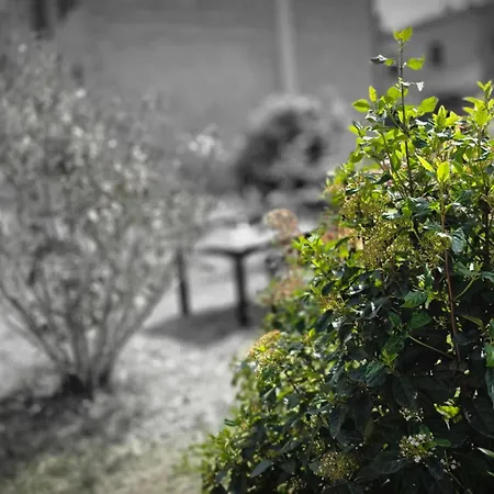 A Casa Di Gabri Holiday home Montefollonico